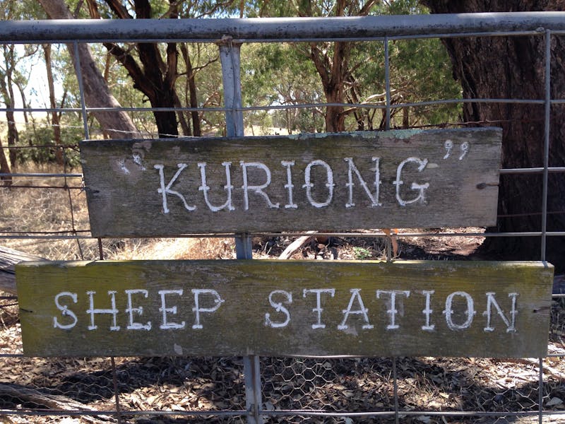 Kuriong Sheep Station NSW Holidays & Things to Do