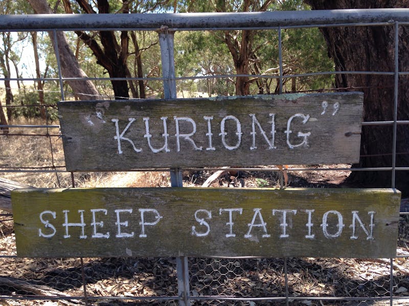 Image for Kuriong Sheep Station