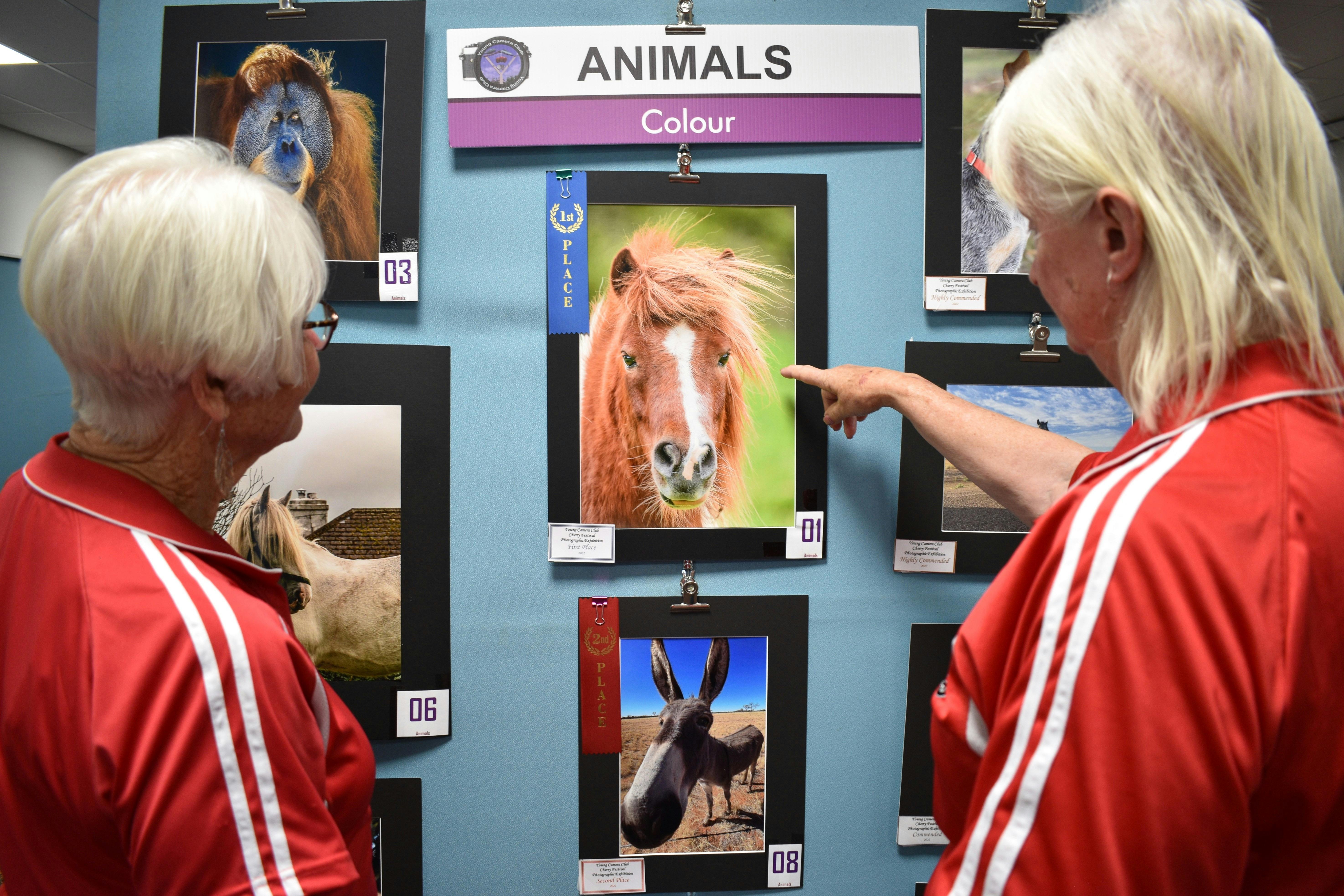 Two ladies admiring a photograph of a horse.