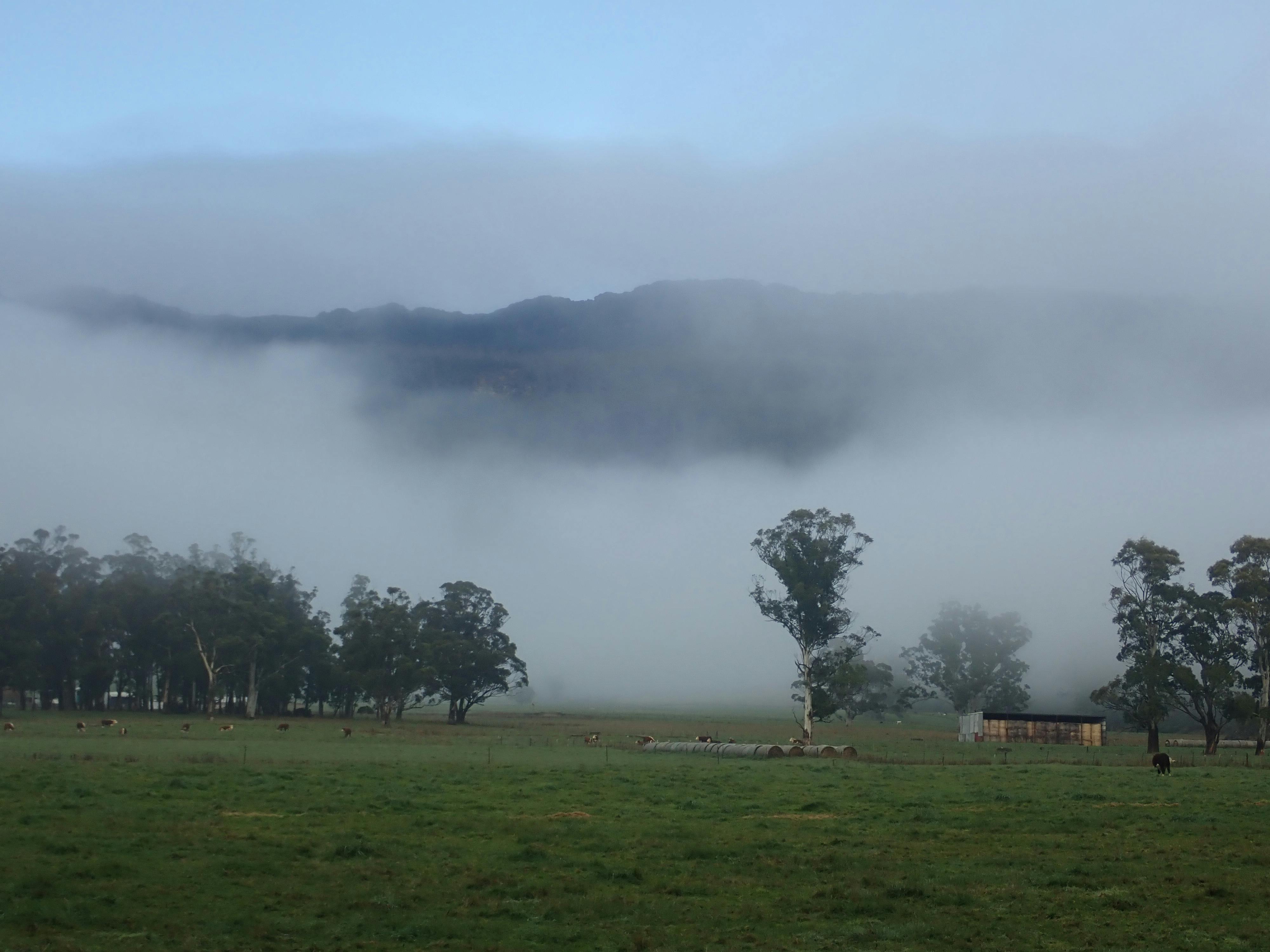 Fog and scarp