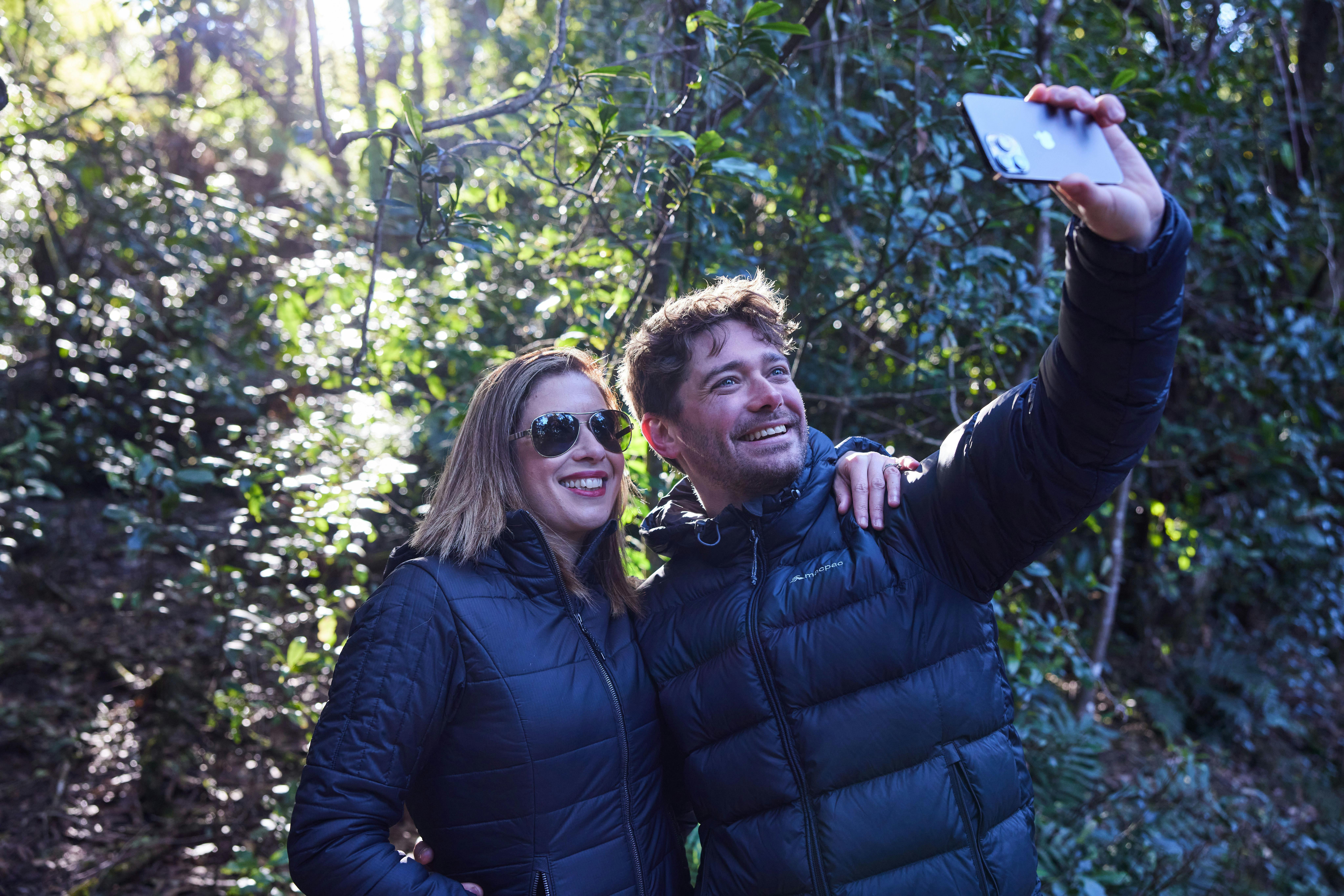 Rainforest at Scenic World