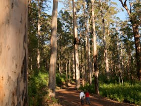 Hikers on the Wansborough Walk and Bolganup Trail, located in the Porongurup National Park