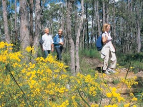 Gidgegannup image