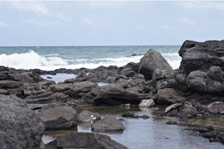 Hoffman's Rocks Dive Site