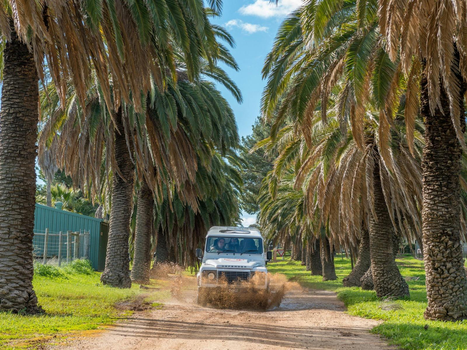 Two Hands Vineyard Tours, Defender Barossa Seppeltsfield