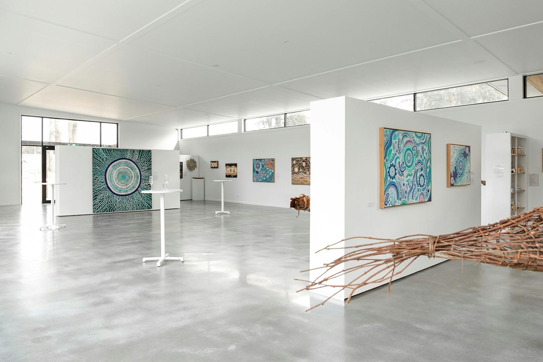 Tracey Van Oploo