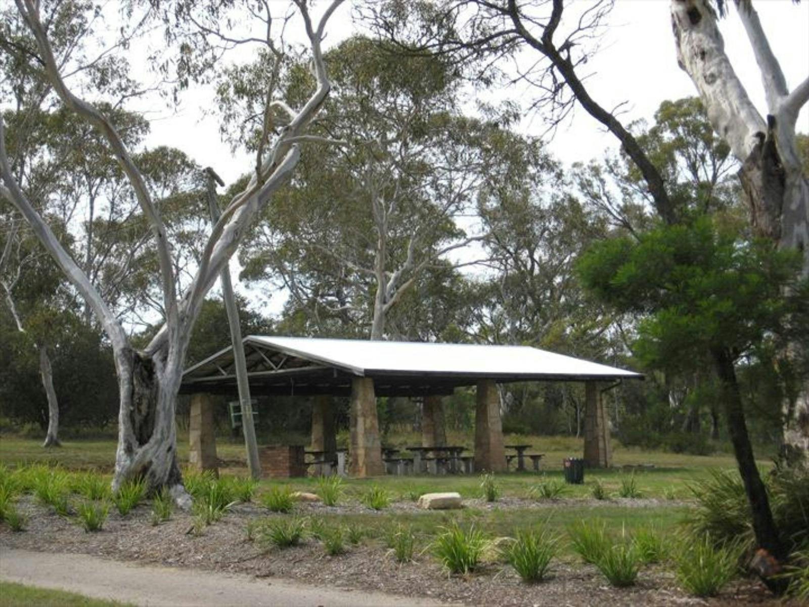 Berrima River Reserve Camping 2