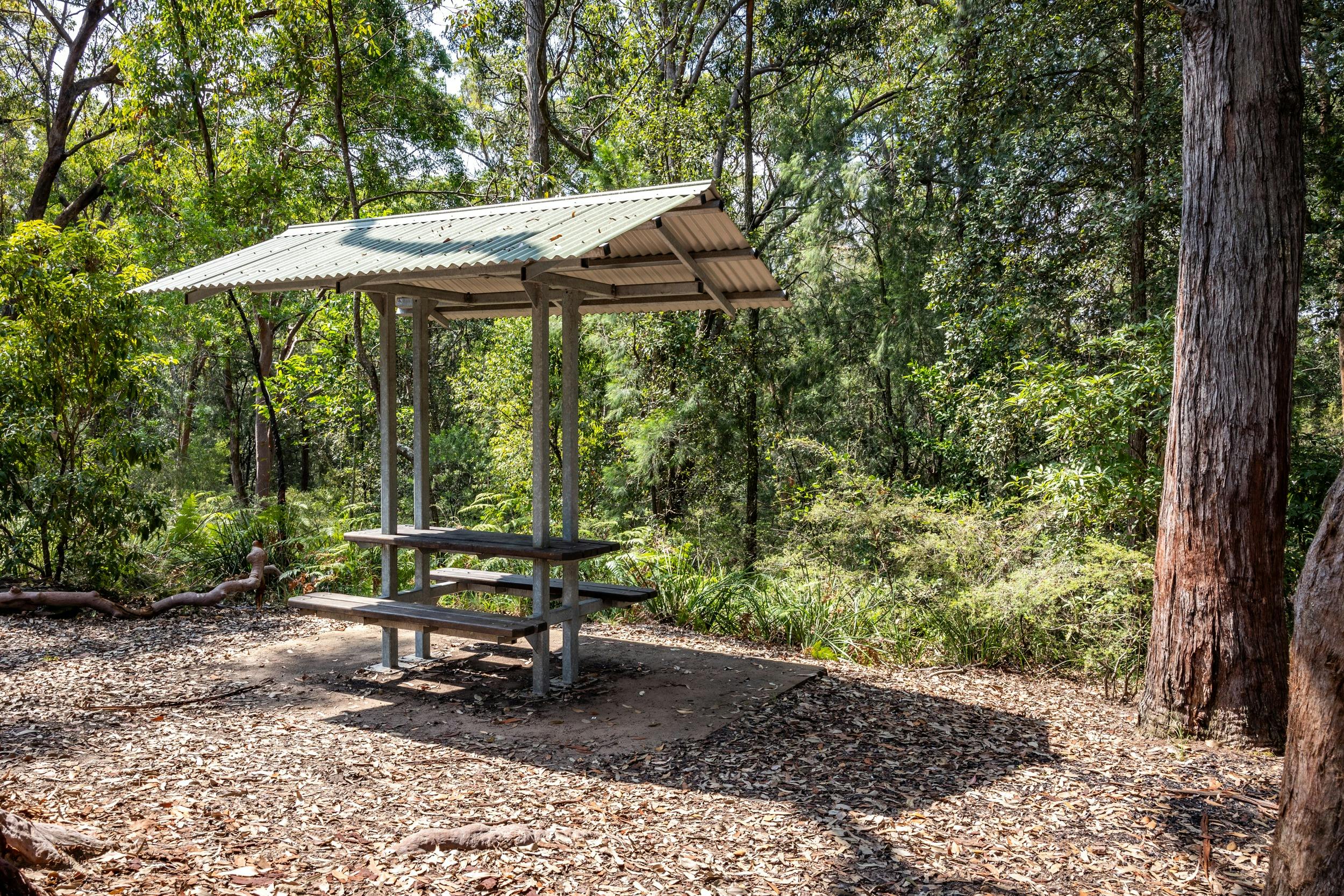 Picnic tables and shleters are available in Strickland State Forest