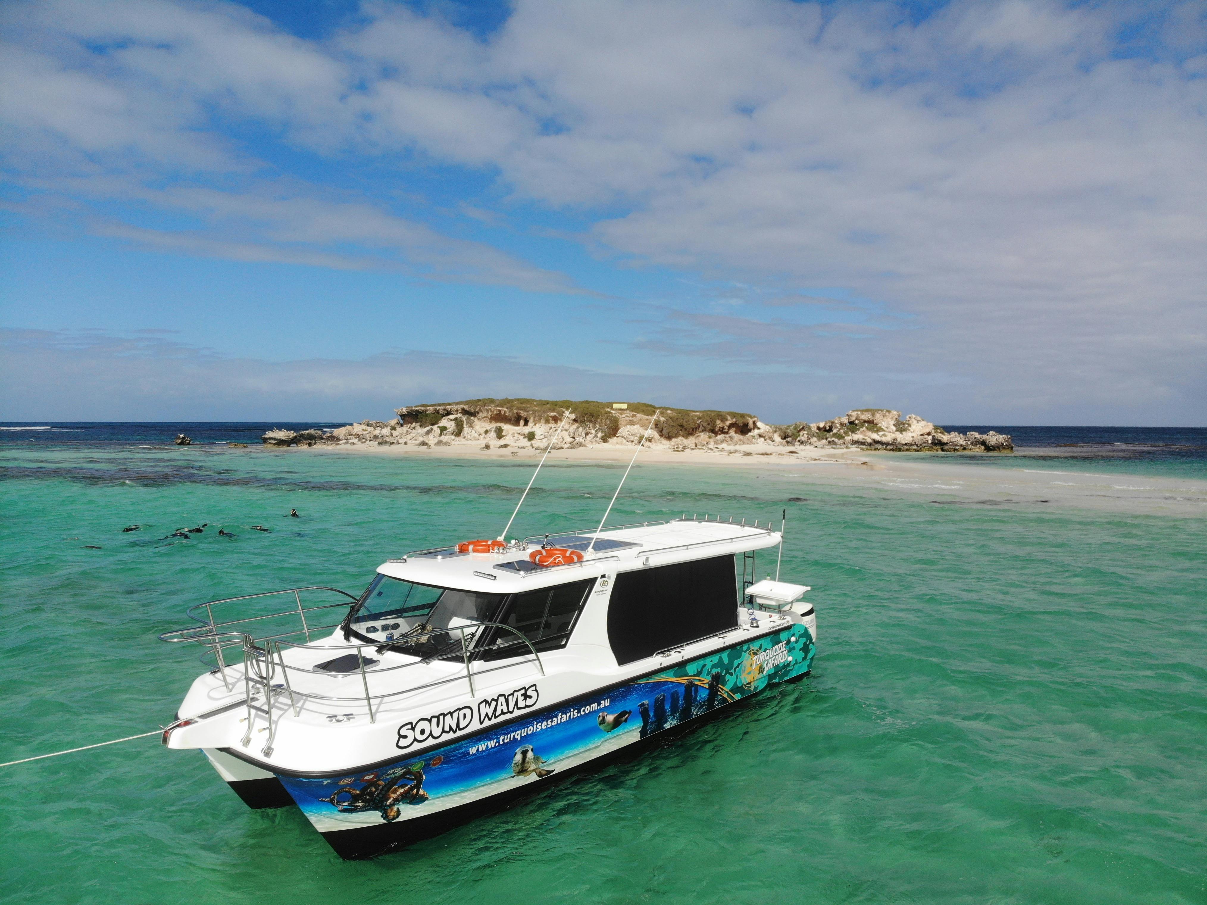 Sea Lion interaction with this tour aboard Turquoise Safaris with New Leaf Connect