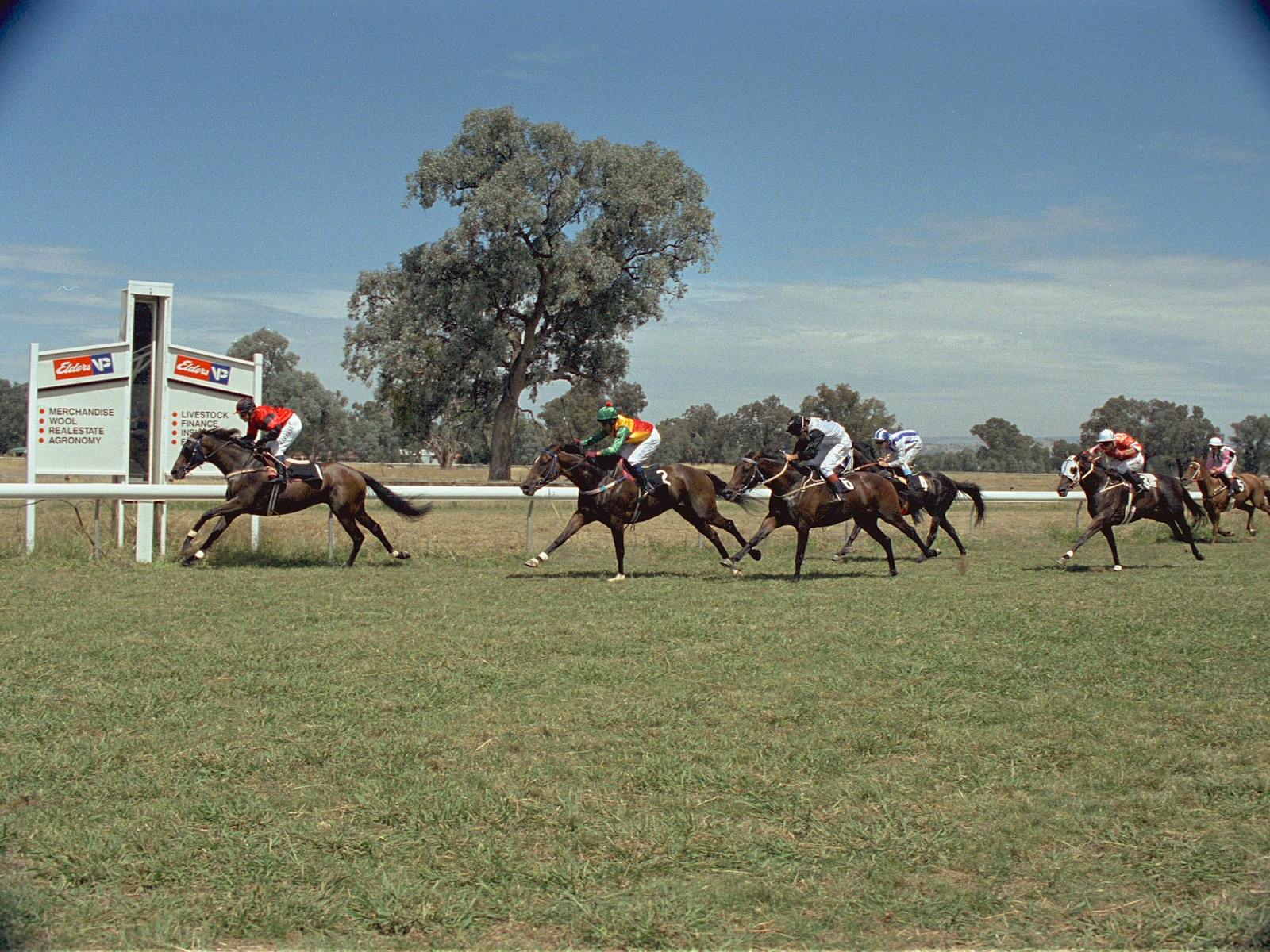 Image for Commander Holbrook Races