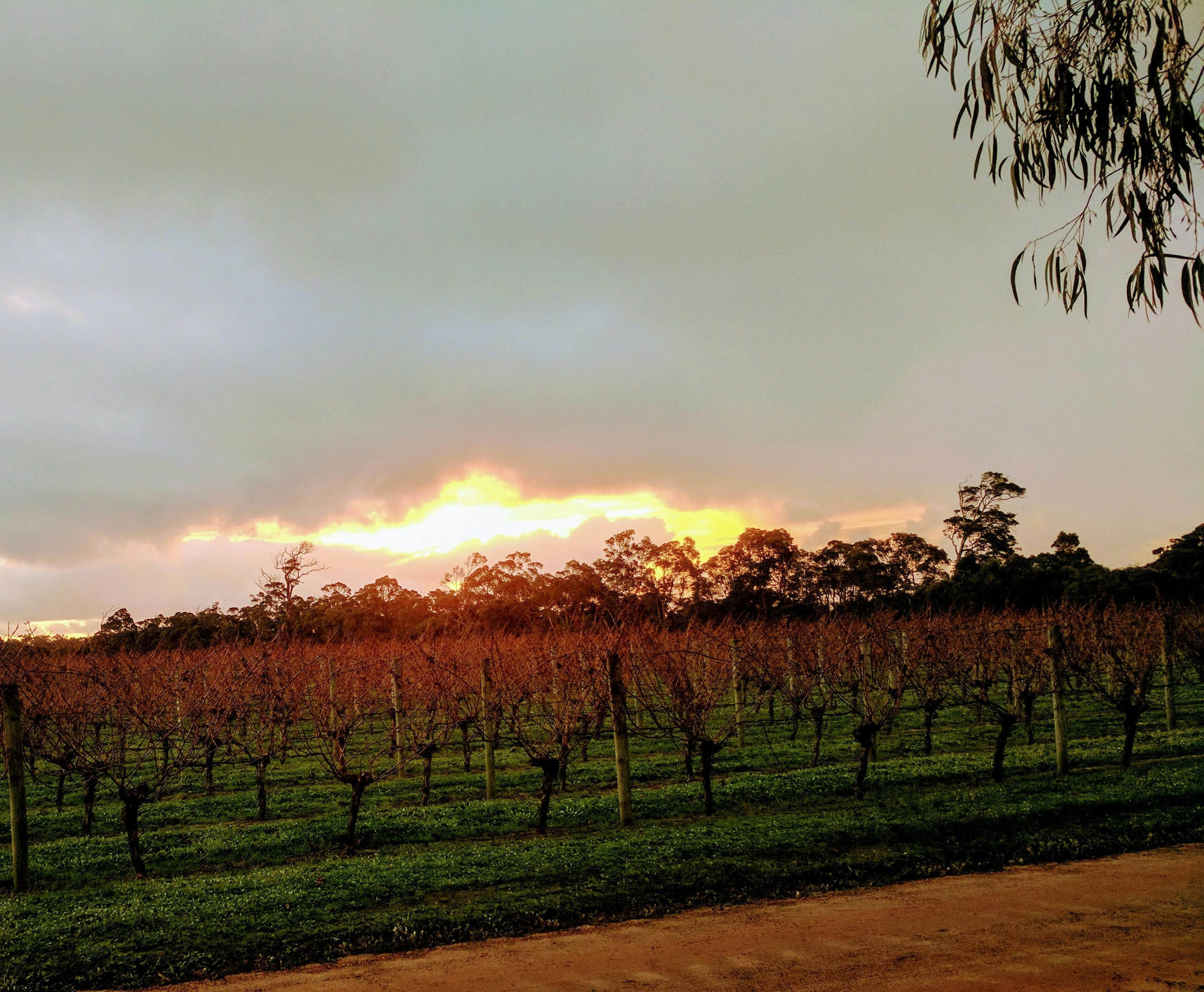 The Grove Distillery - Accommodation