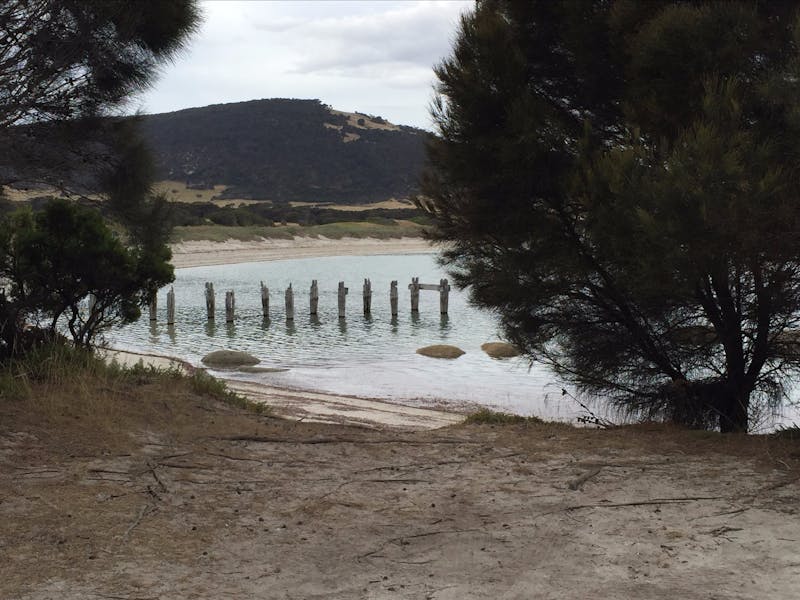 Lillies Bay Camping Ground