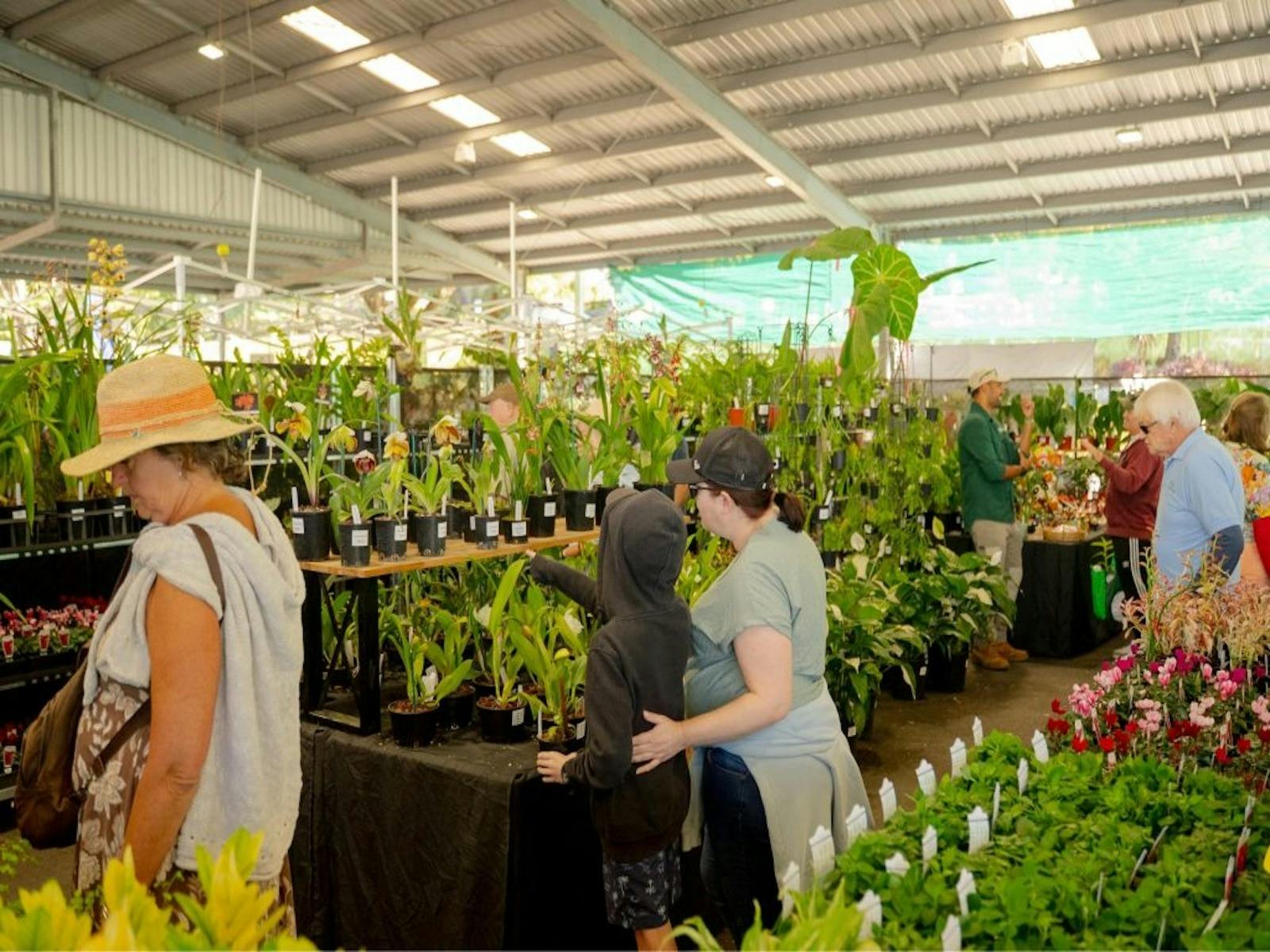 Queensland Garden Show Queensland Garden Show