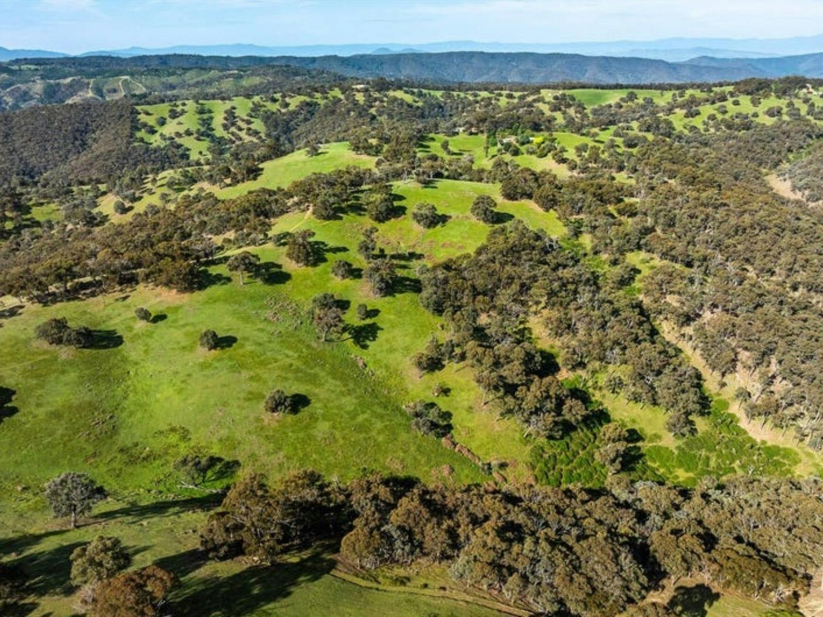 Rural property and gardens at Sambar Ridge farm stay in Alexandra, Victoria.