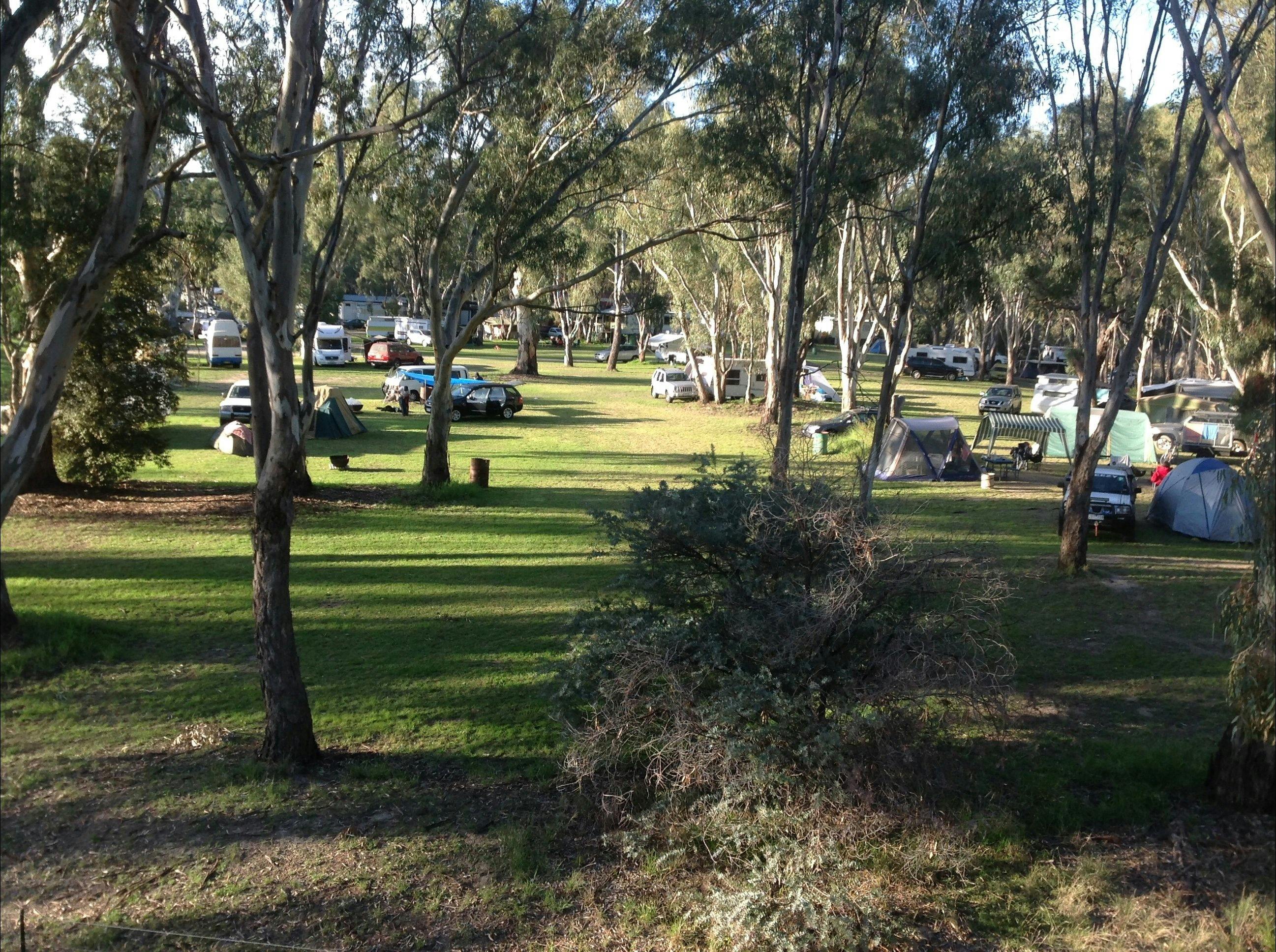 絶対的なリバーフロントサイトがある無動力のブッシュキャンプエリア！