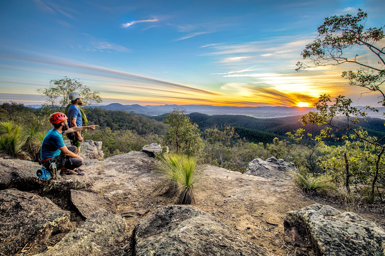 Brooyar State Forest