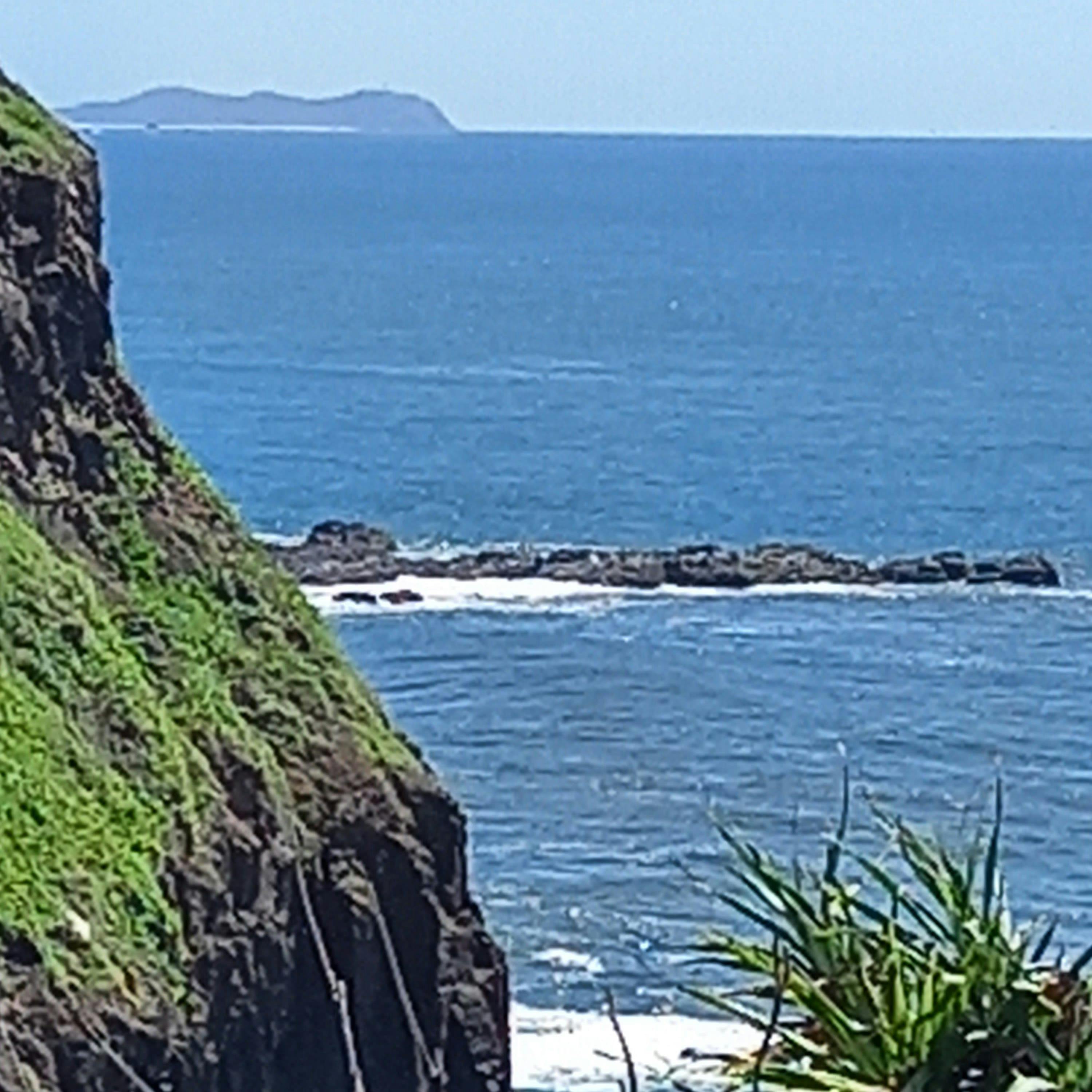 Visiting the site at Boulders Beach