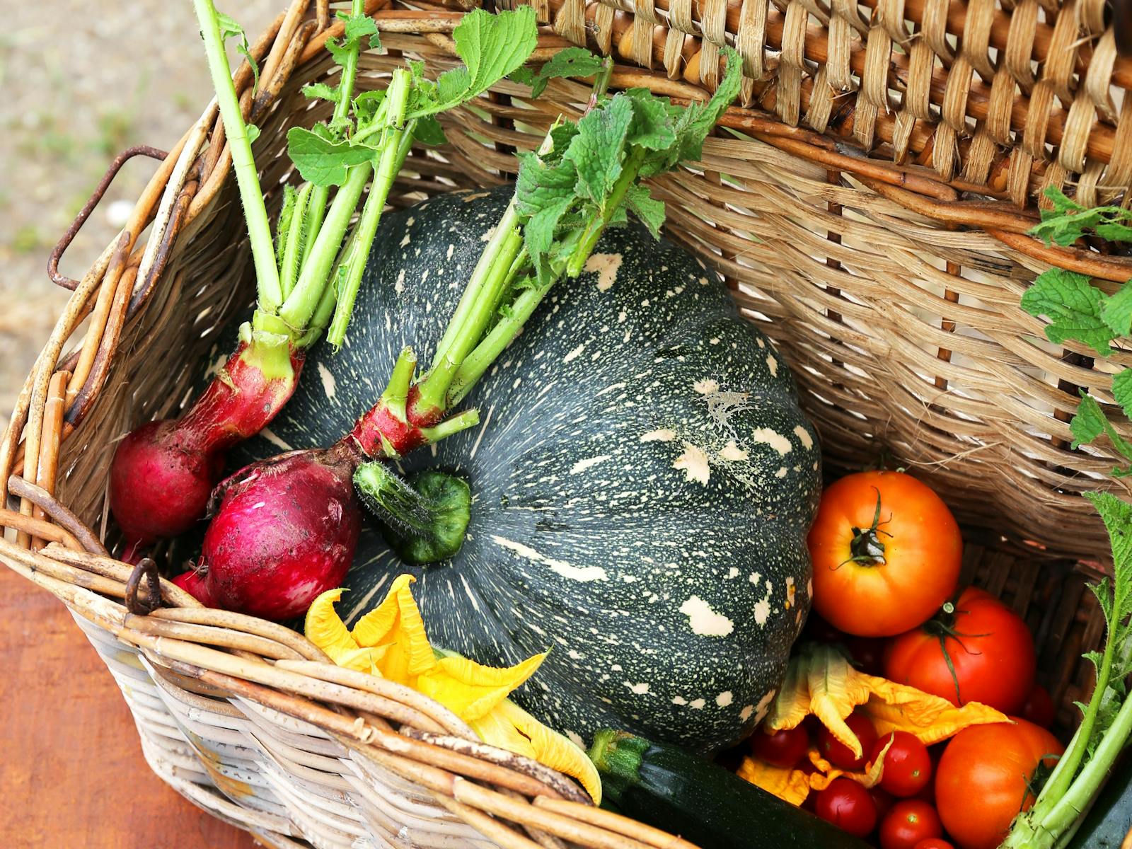 The Butter Factory Restaurant Pyree Paddock to Plate