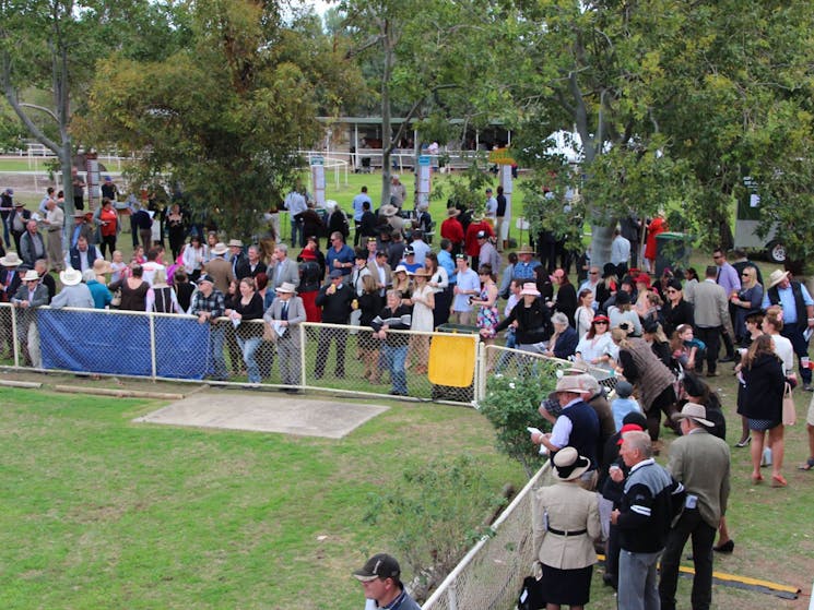 PJ O'Brien Memorial Race Meeting Walgett