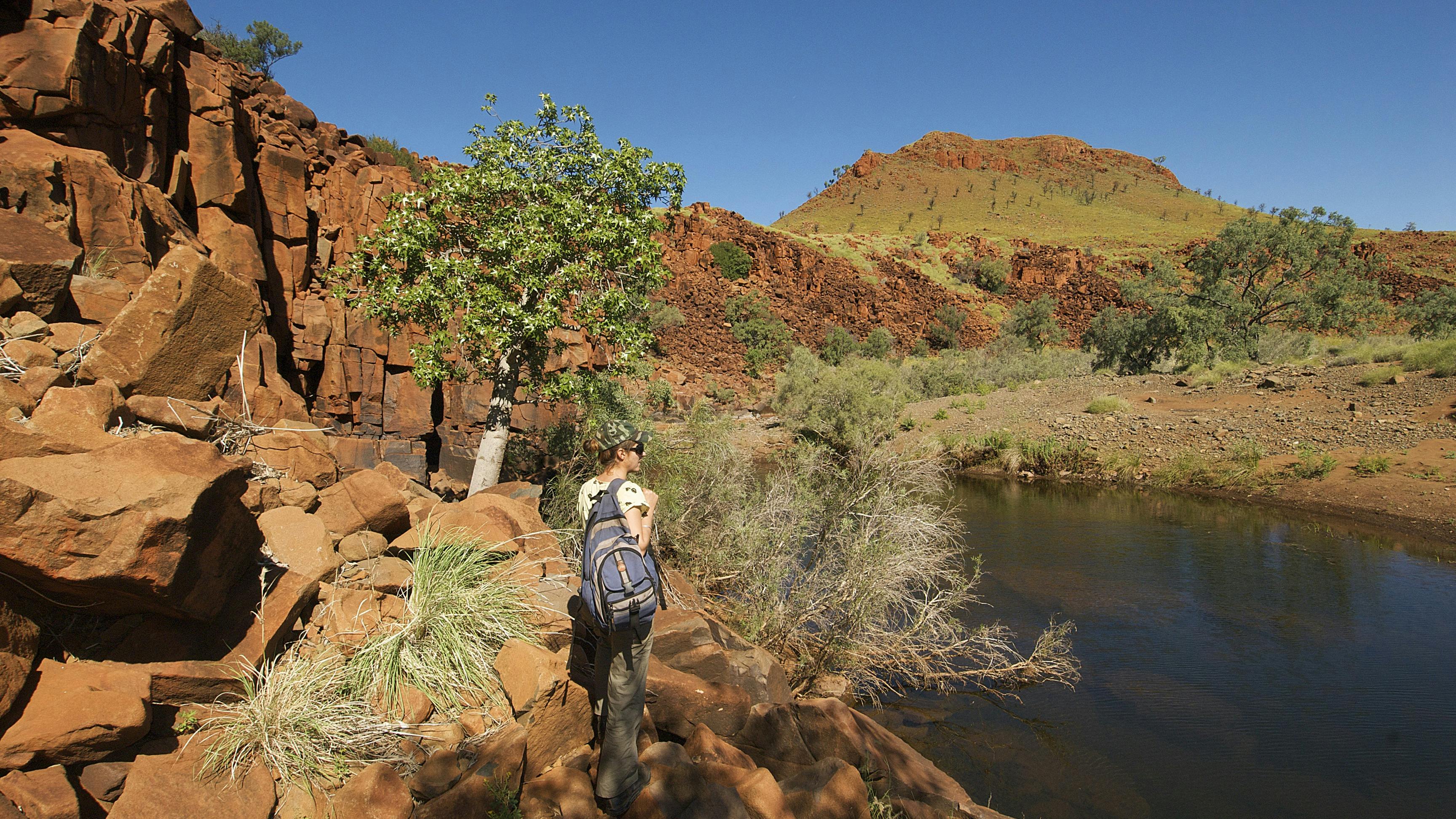 Port Hedland Airport Transport Tourism Western Australia