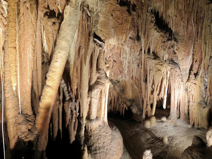 Jillabenan Cave, Kosciuszko National Park