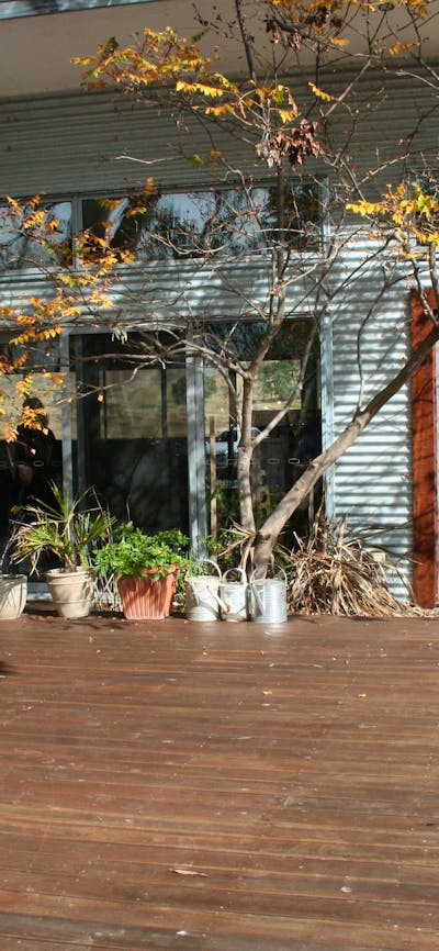 women having lunch at a local winery
