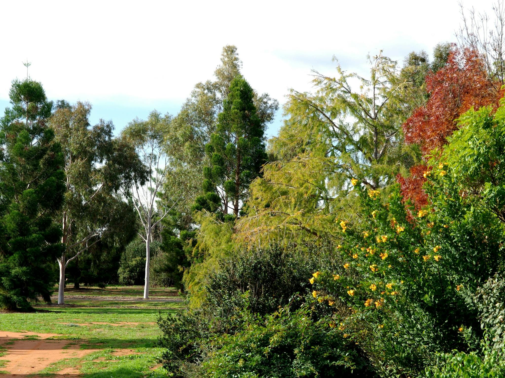 Australian Inland Botanic Gardens