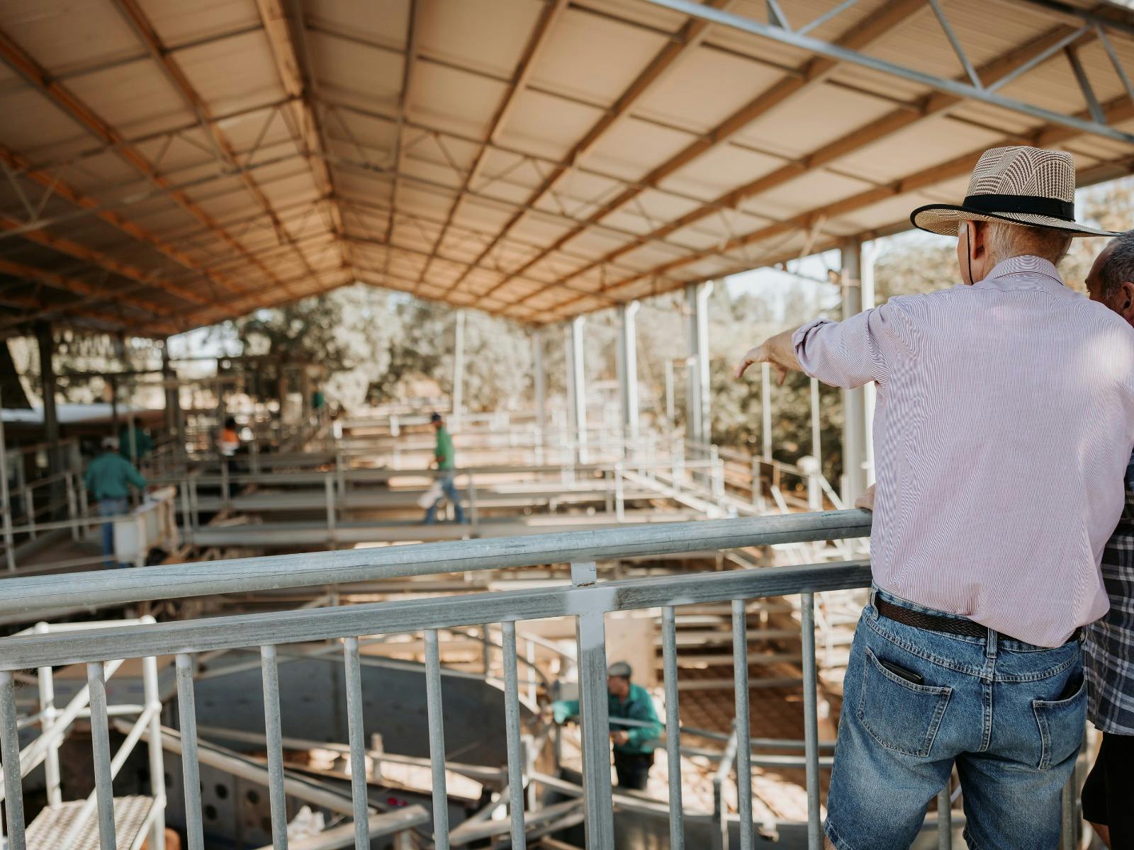 Blackall Saleyard Visitor Platform