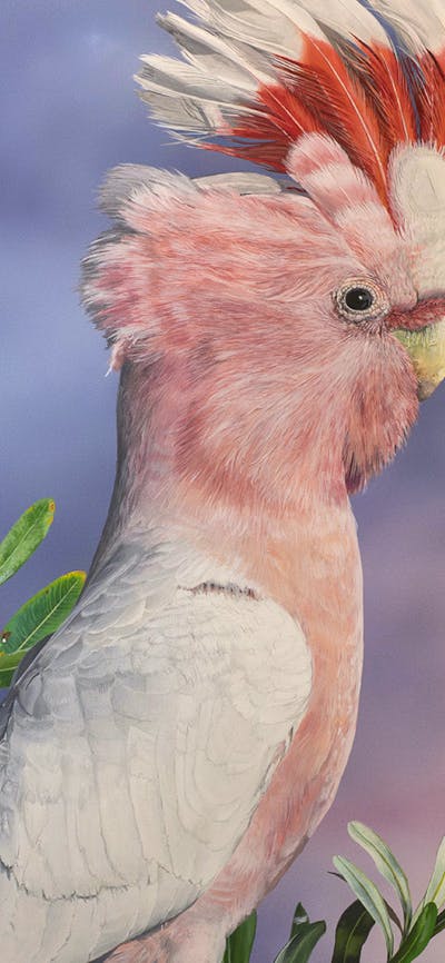 Homage to the Bird group exhibition