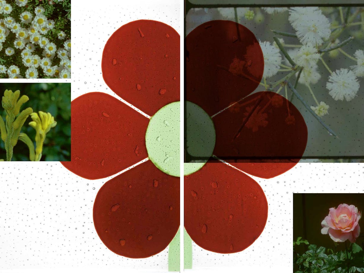 Red flower surrounded by other various white flowers