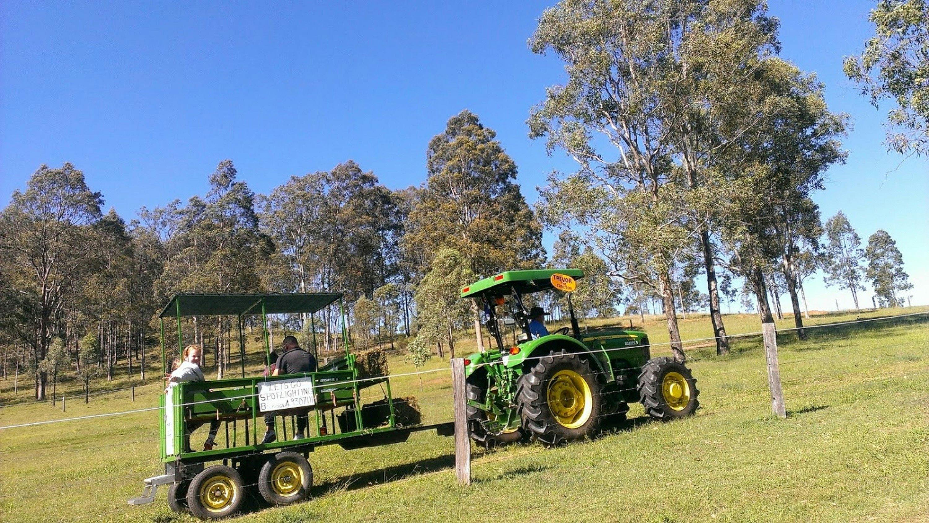 Tractor hay ride animals feeding also night tours