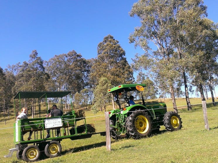 Tractor hay ride animals feeding also night tours