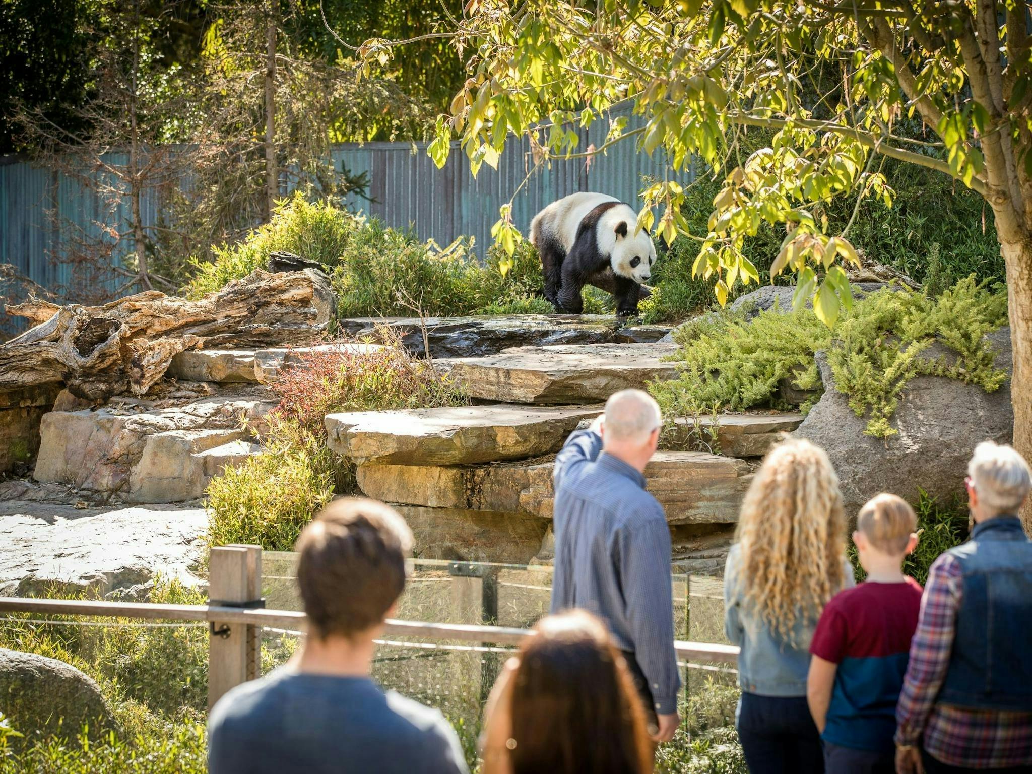 Australia China International Film Festival – Twilight Zoo