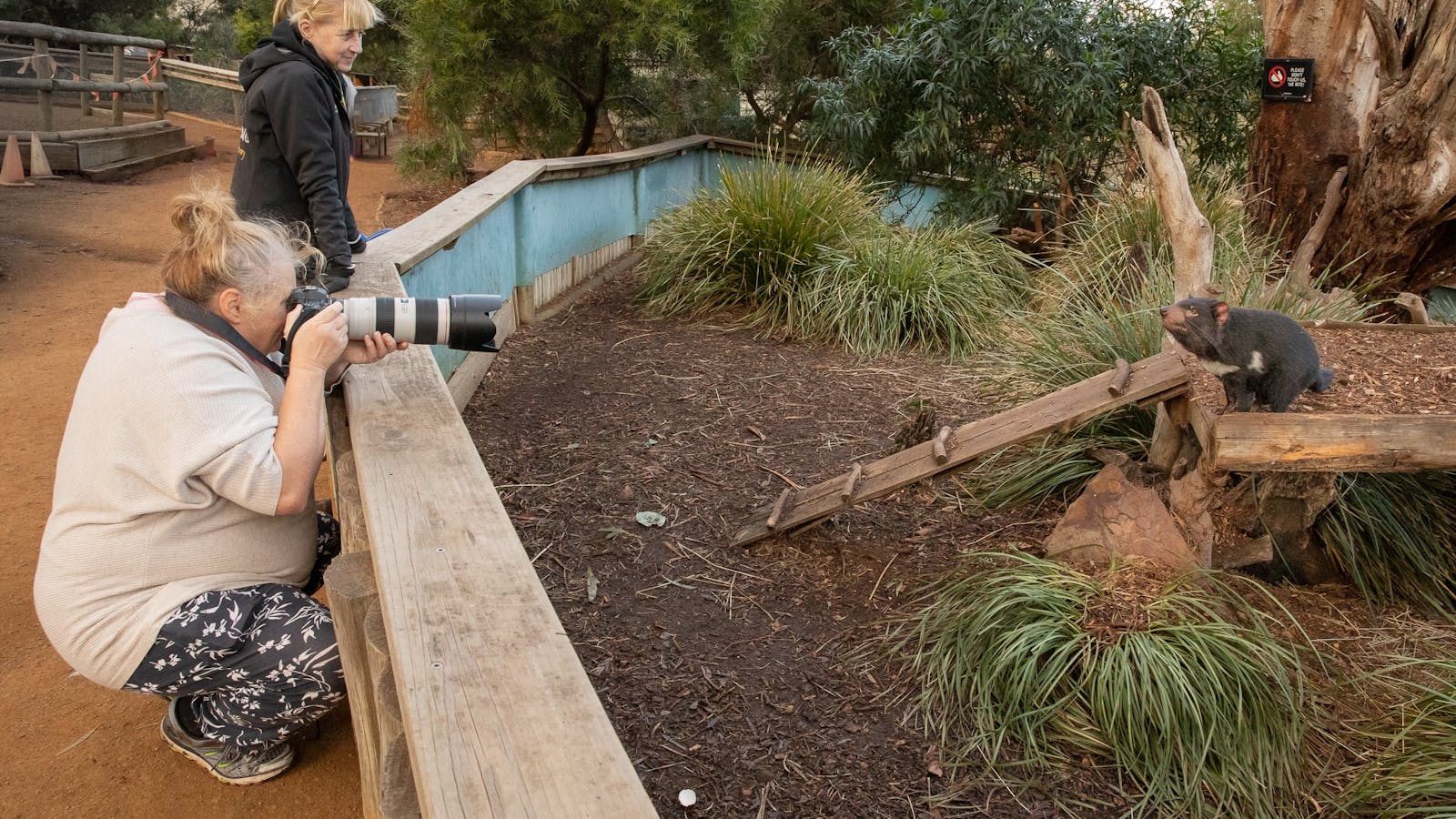 Wildlife photography at Bonorong Wildlife Sanctuary - a photography tuition experience