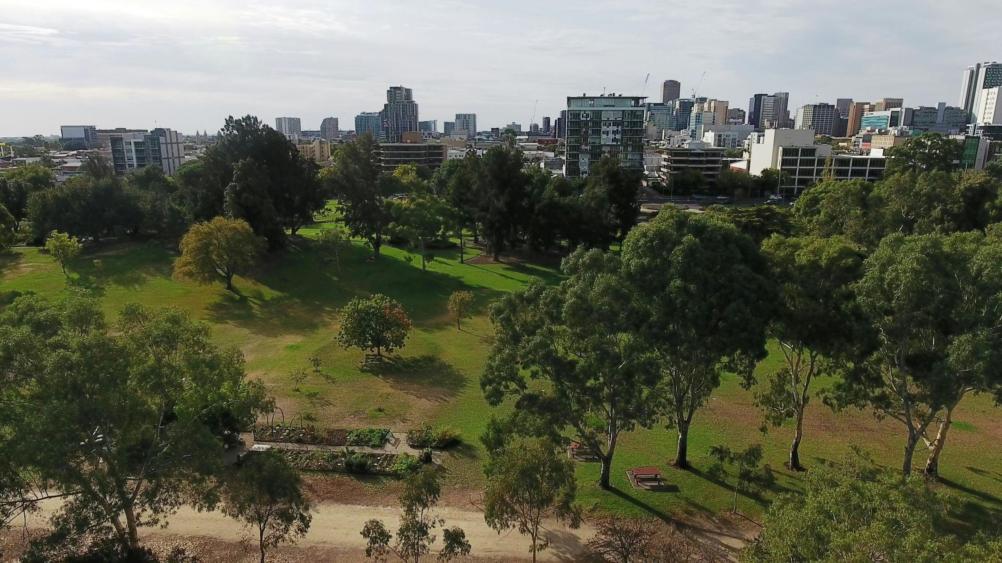 Guided Walk through Veale Park / Walyu Yarta (Park 21)