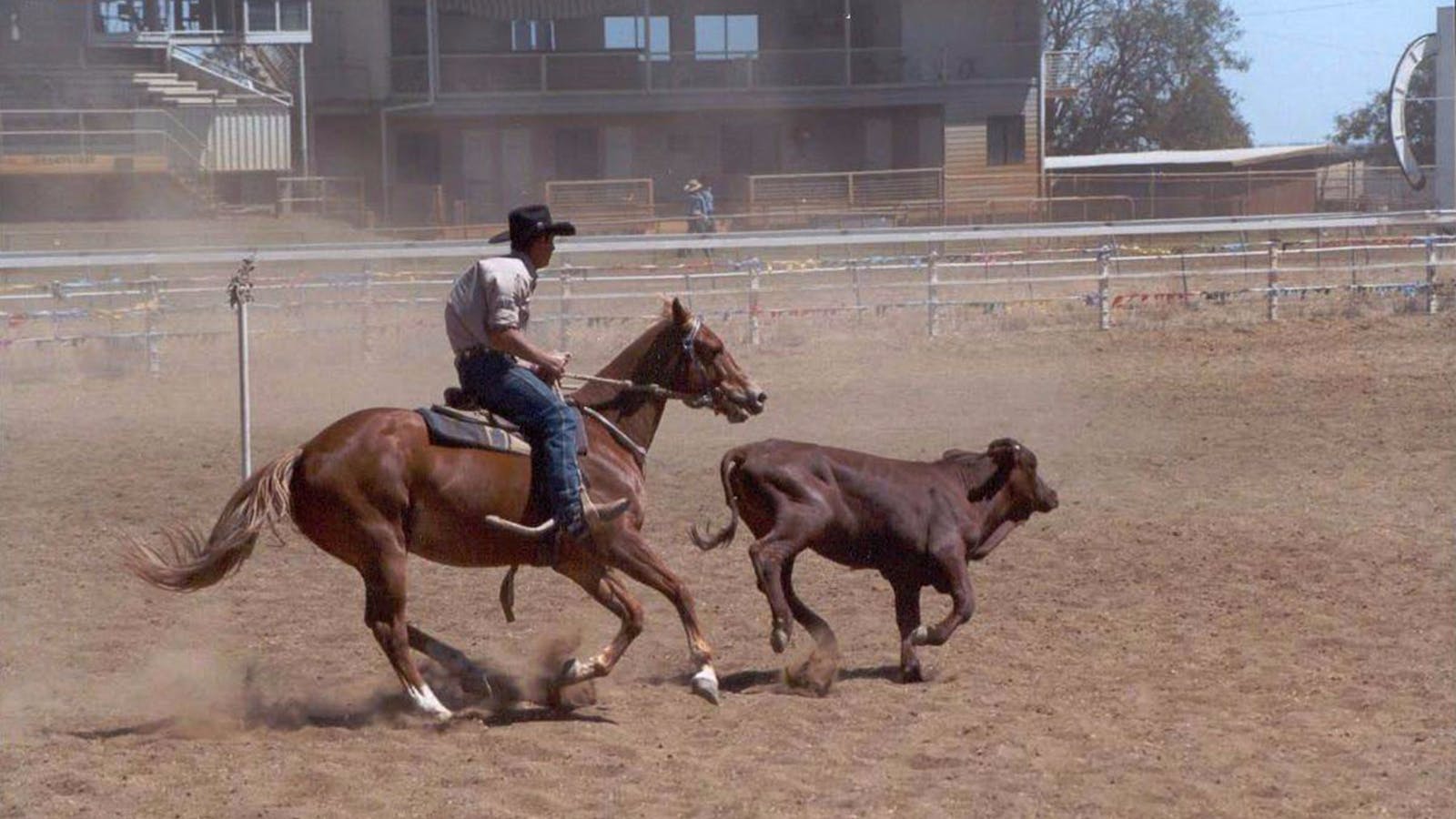 Image for Richmond Campdraft