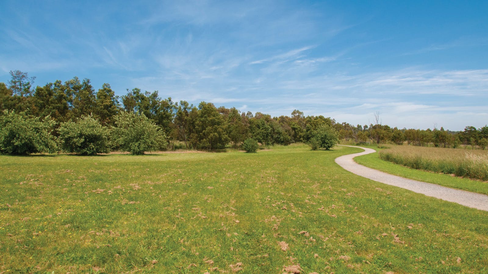 Nortons Park