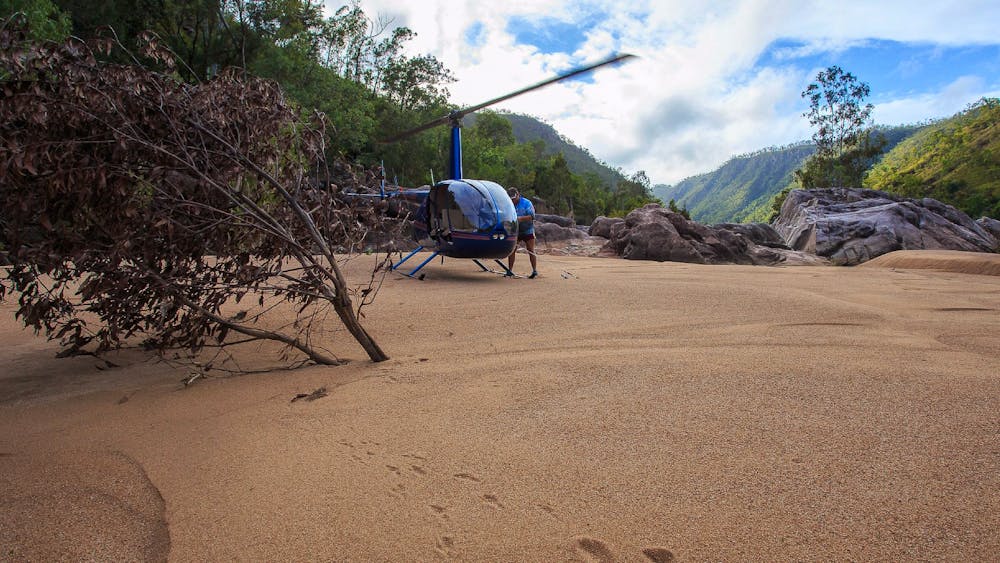 Hinchinbrook Adventures