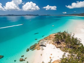 Whitehaven Beach and Bettys Beach with Lady Enid Sailing Adults Only