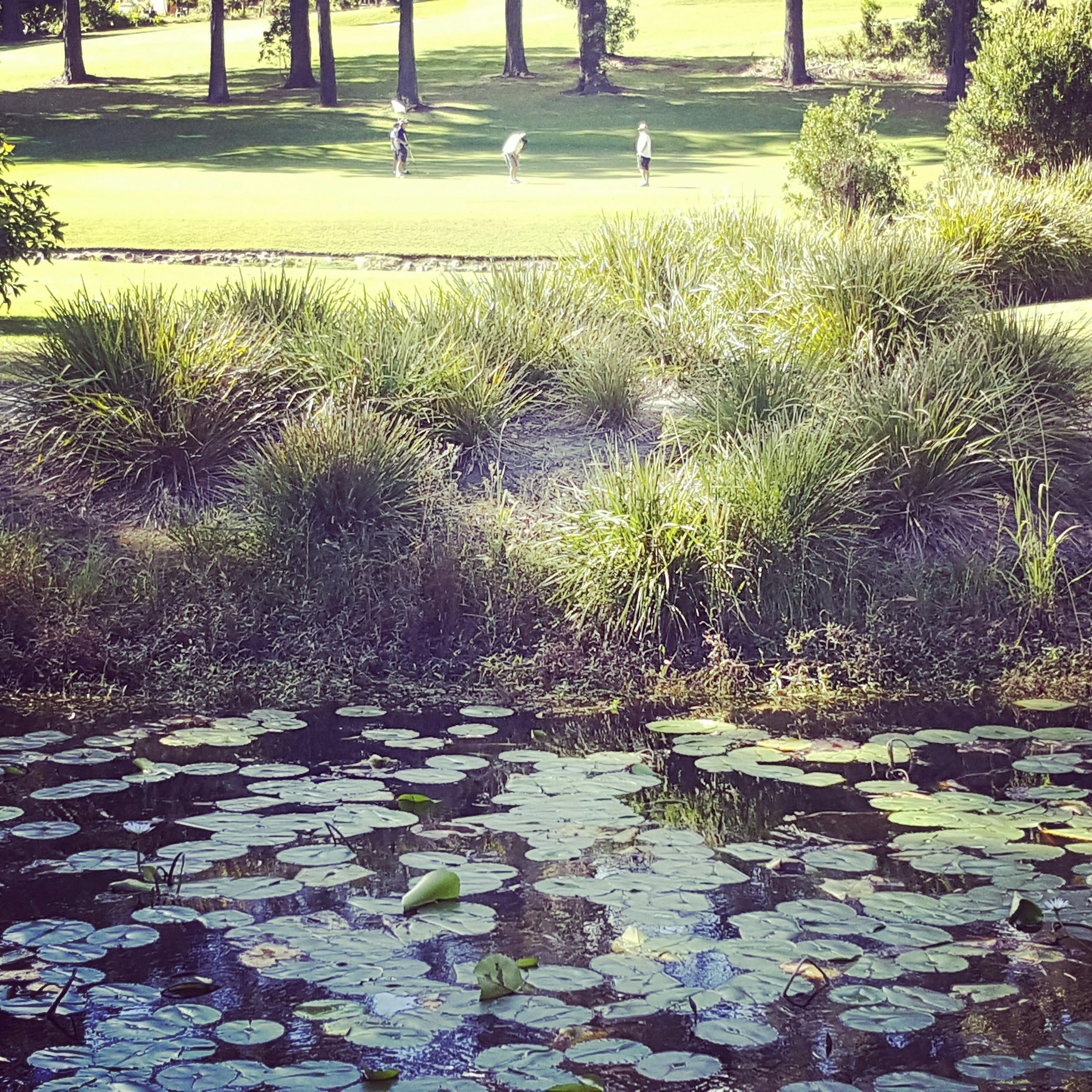 Hilltops is rated in  the top 100 Golf courses in Australia by Australian Golf Digest