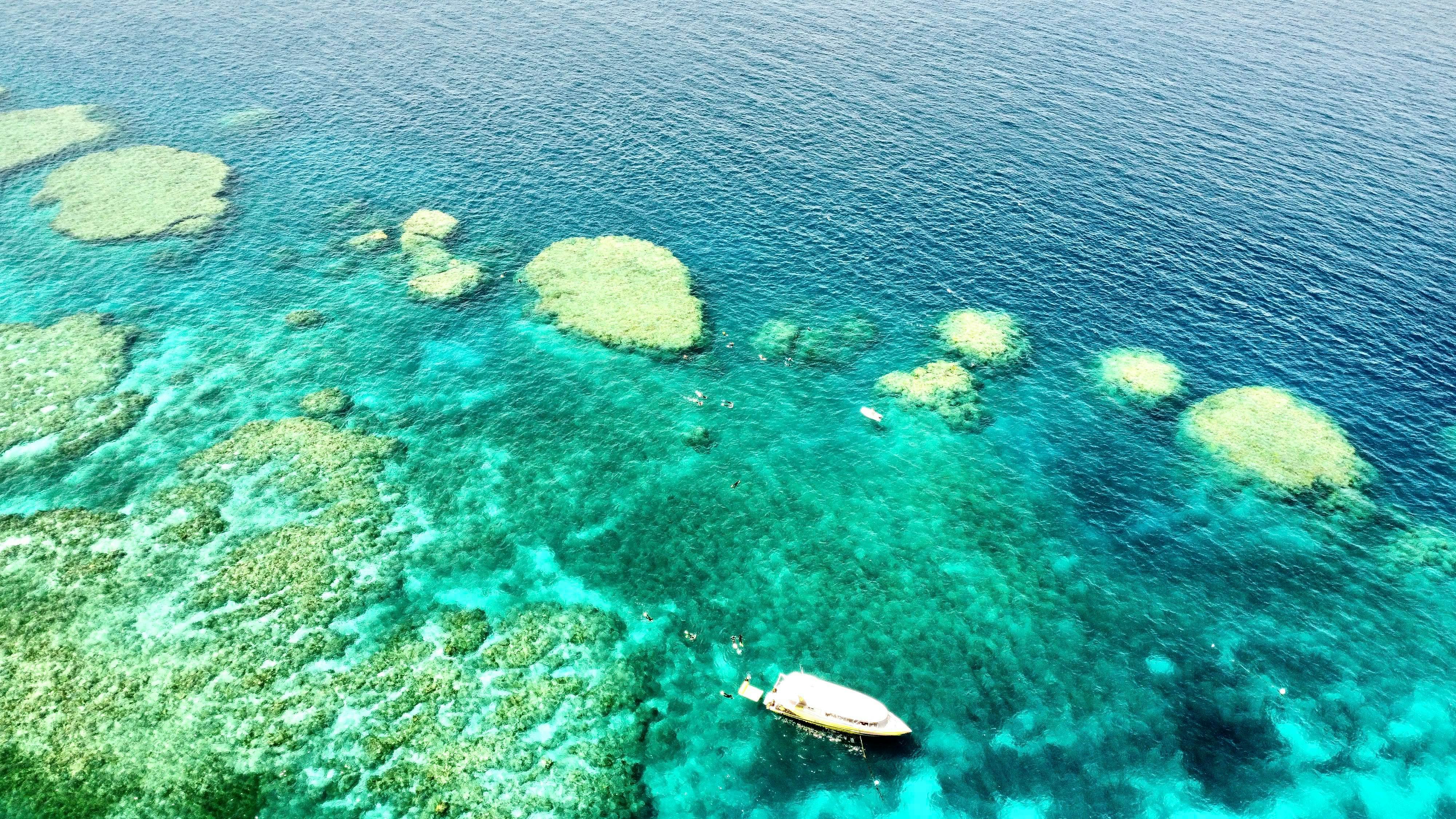 Viper Whitsunday - Iconic Whitsunday Adventures