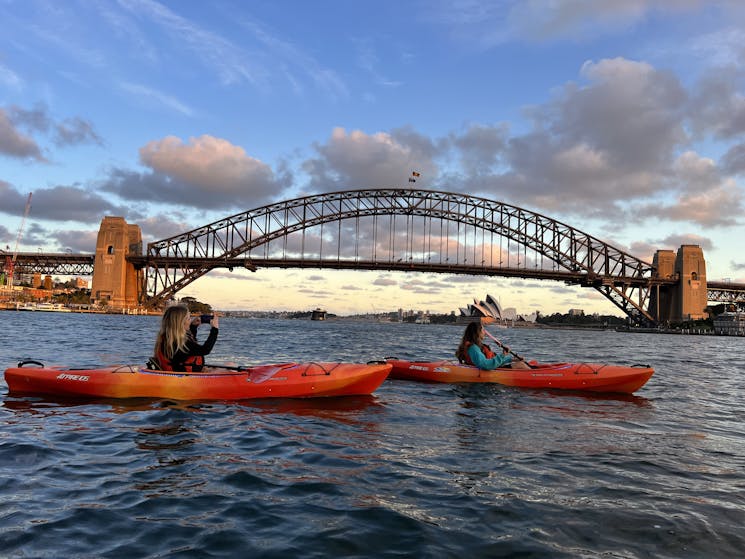 kayakers paddling in front of the Harbour Bridge in the evening