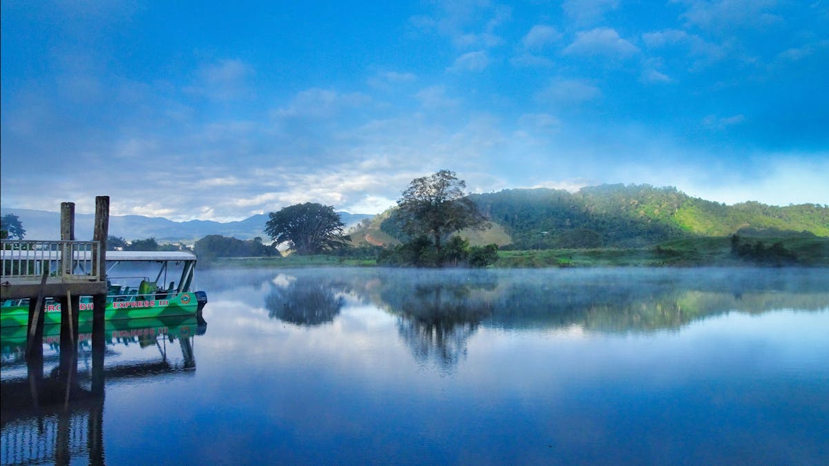 Early morning Daintree River