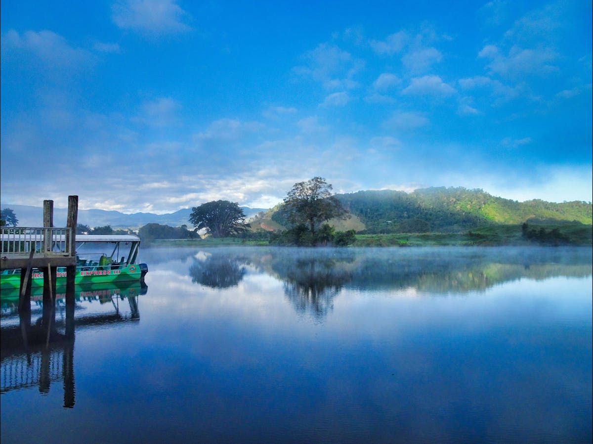 Early morning Daintree River