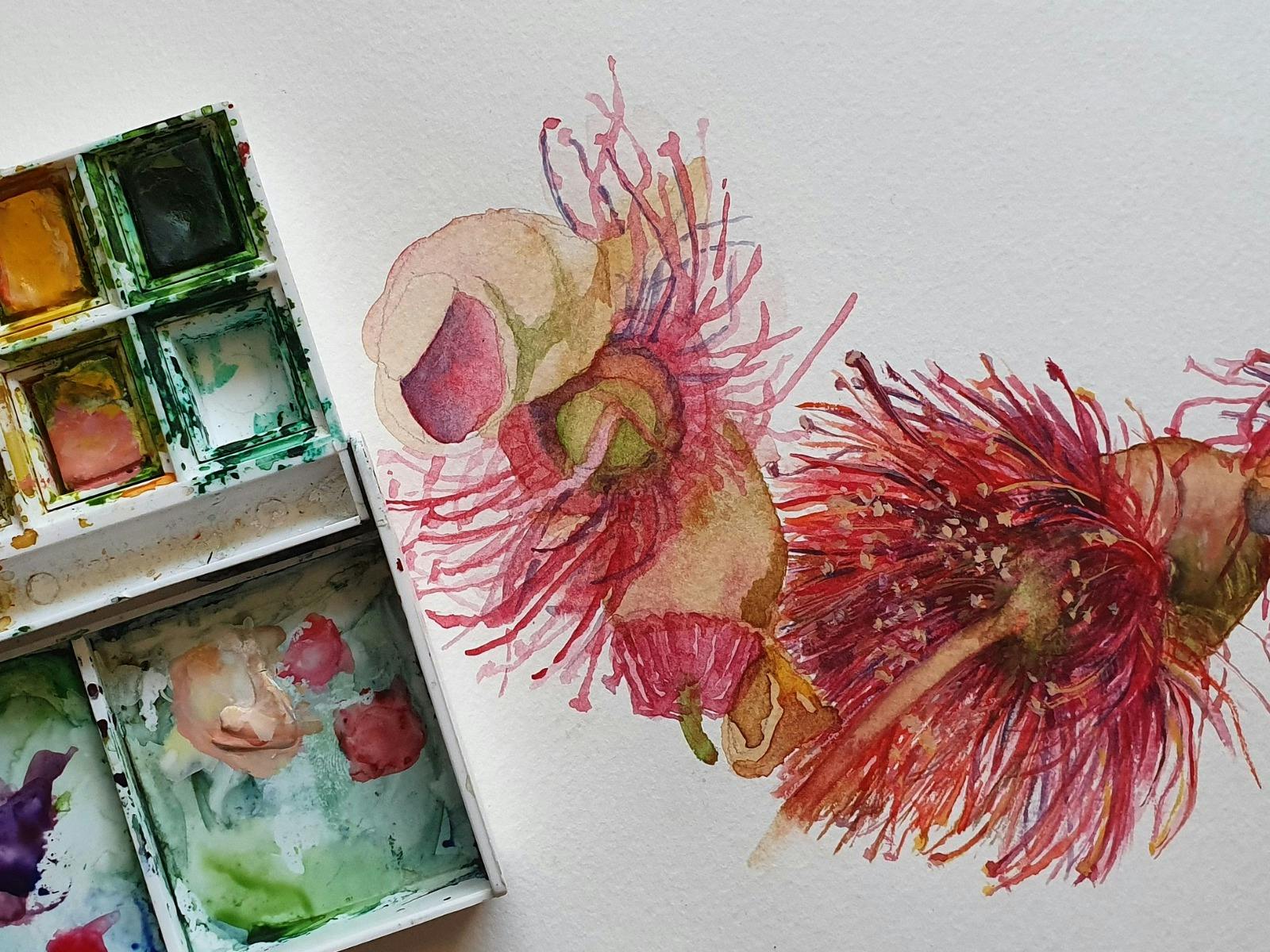 a watercolour palette with painted pink blooming gumnuts