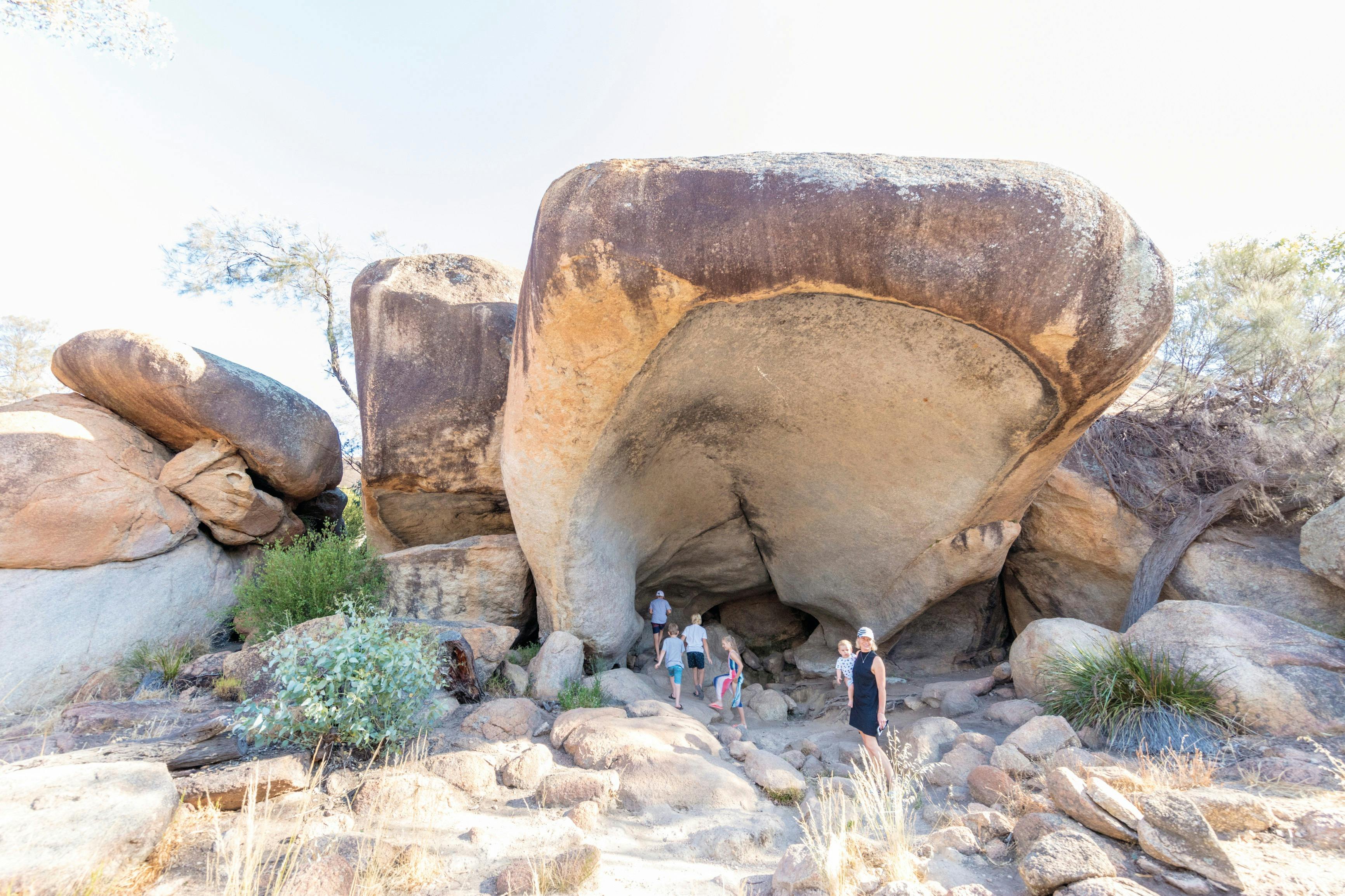 Aussie Perth Tours, Hippos Yawn, Western Australia