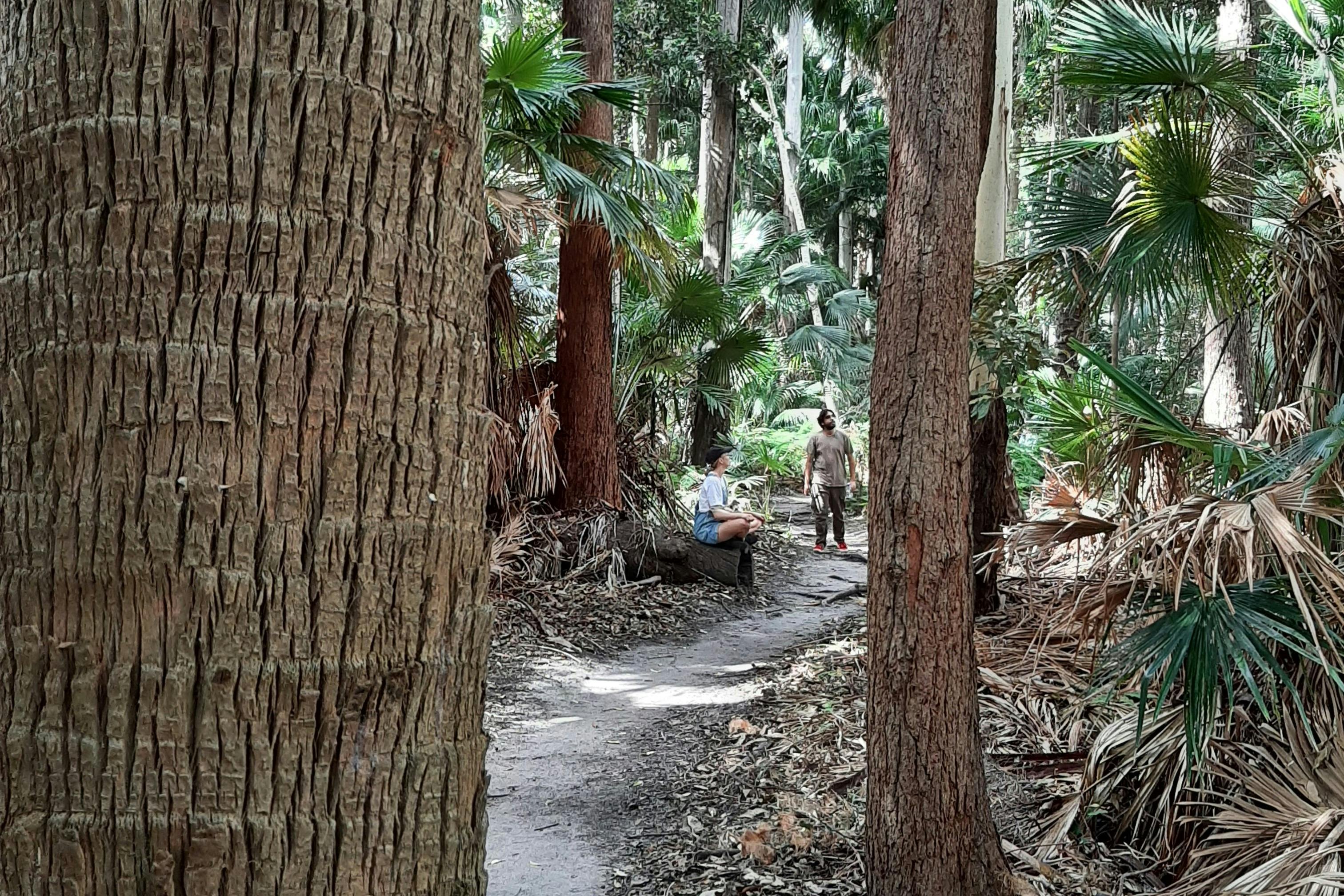 People forest bathing along the path at Alex Forest