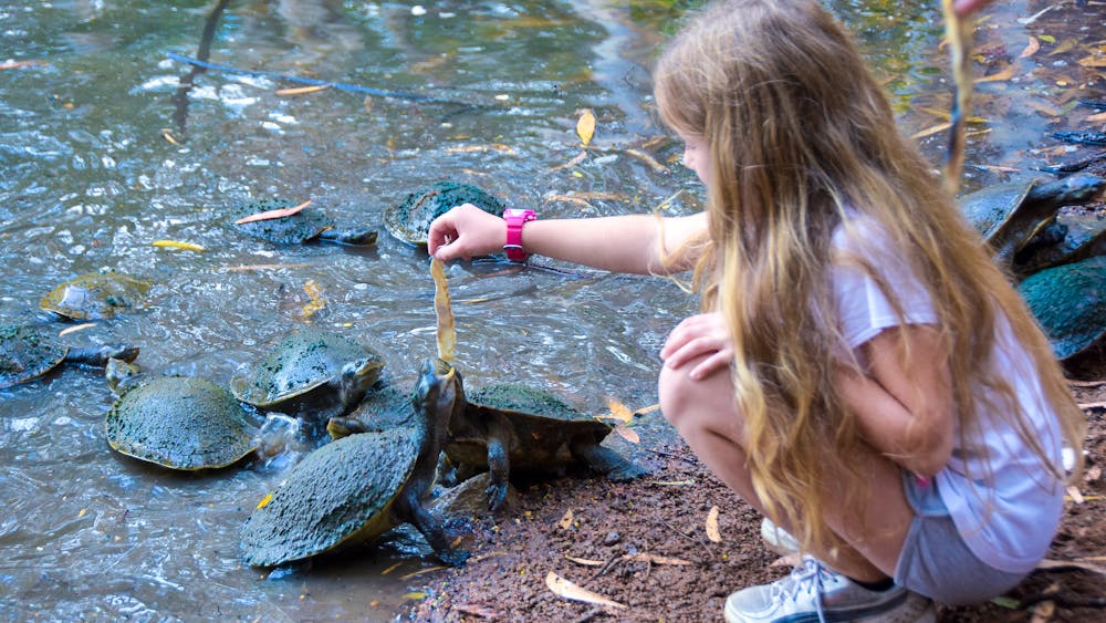 Billabong Sanctuary