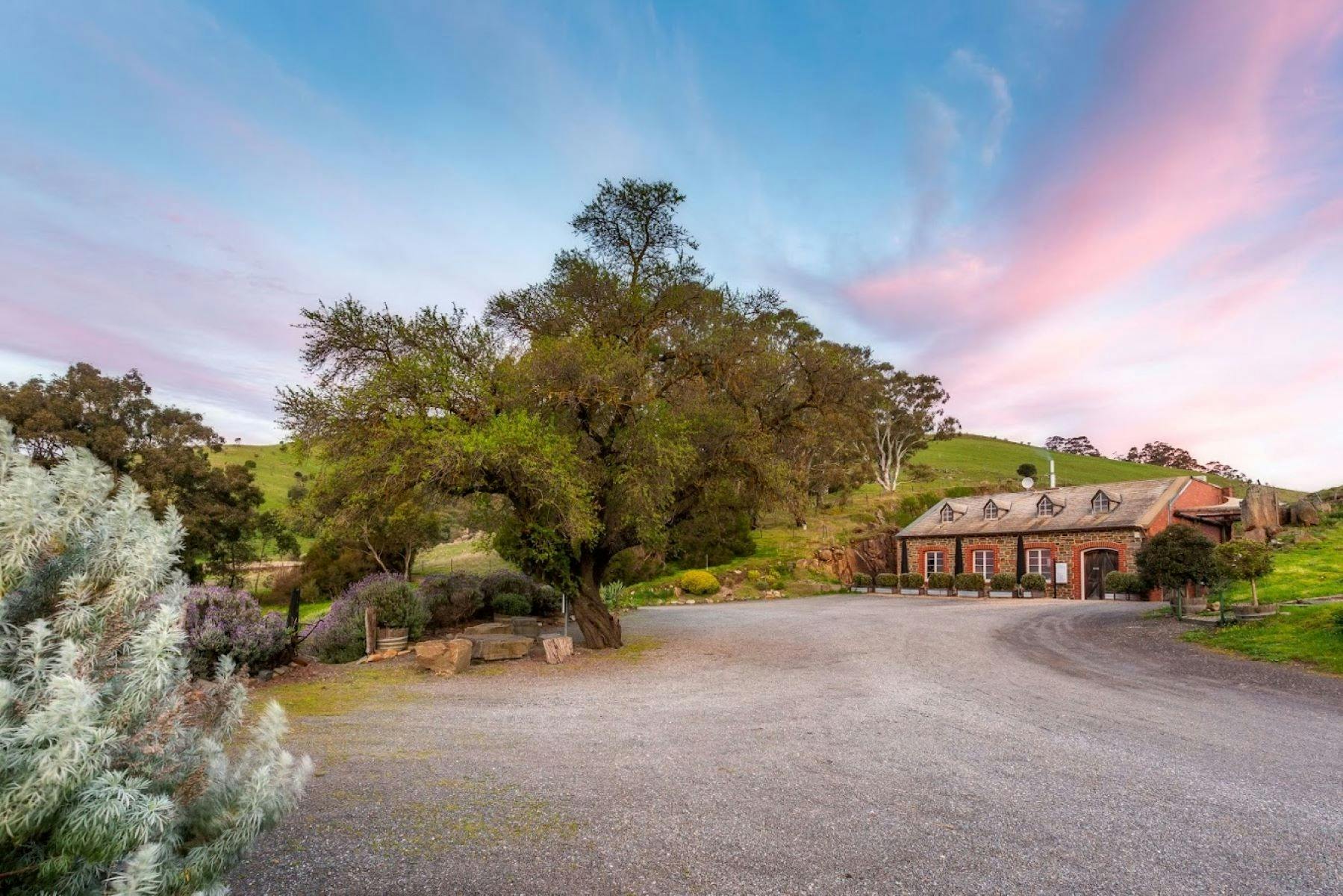 Cellar Door / Tasting Room