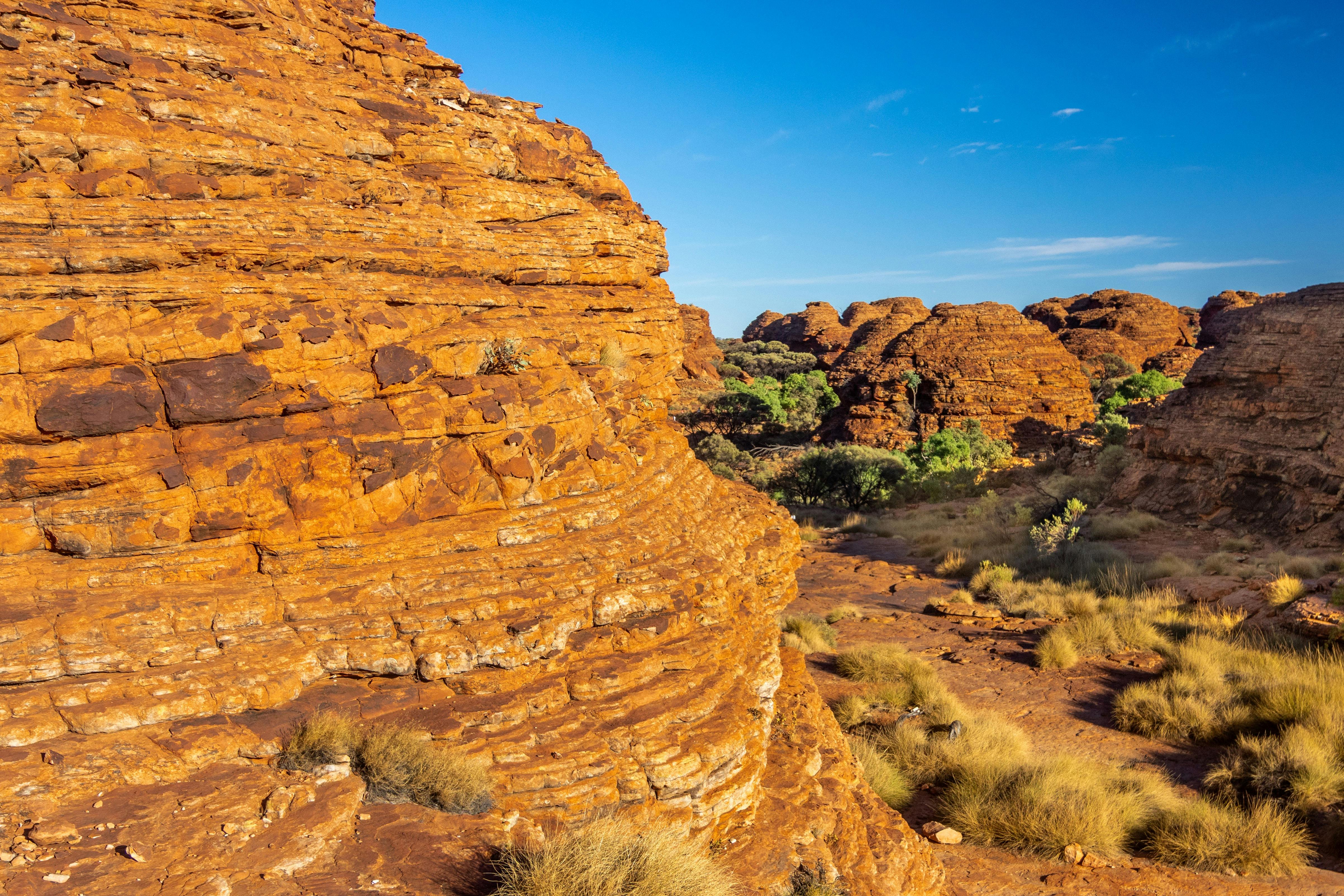 Red Rock mounds in the background and foreground